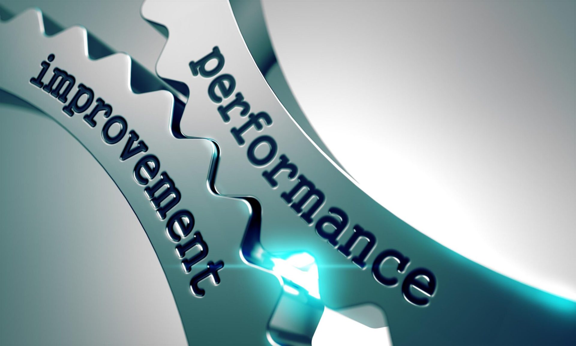 8 steps to improve plant performance
