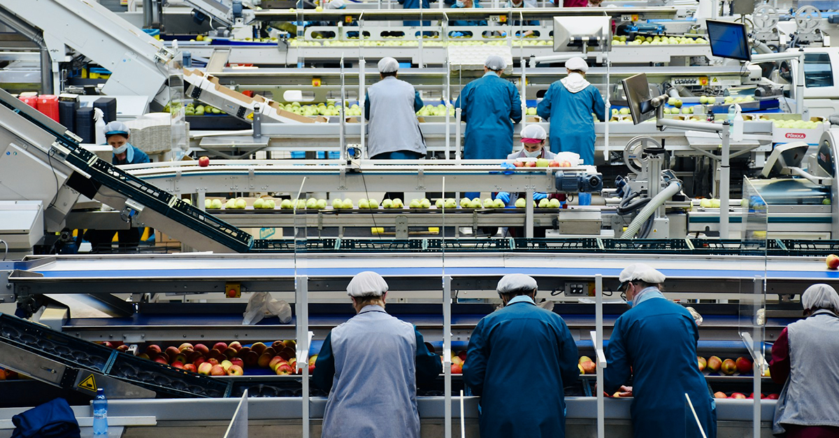 Allergen-Safe Food Production Scheduling – Case Study